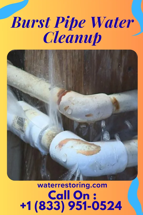 Burst Pipe Water Cleanup in Wilburton Number One, PA
