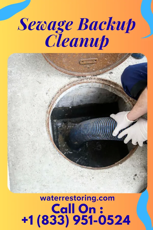 Sewage Backup Cleanup in Wilburton Number One, PA
